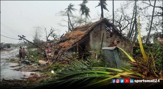 সুন্দরবনে গাছ লাগাচ্ছে কেকেআর