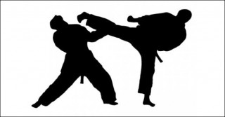 2nd Federation Cup Taekwondo competition begins